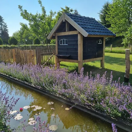 Uilenblik Holiday home Veghel