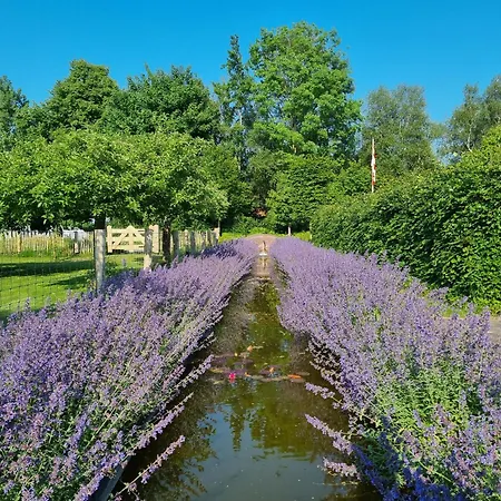 Holiday home Uilenblik