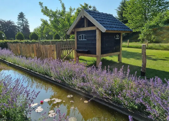 Uilenblik Holiday home Veghel