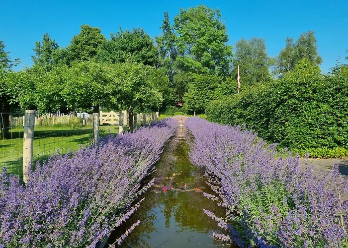 Holiday home Uilenblik