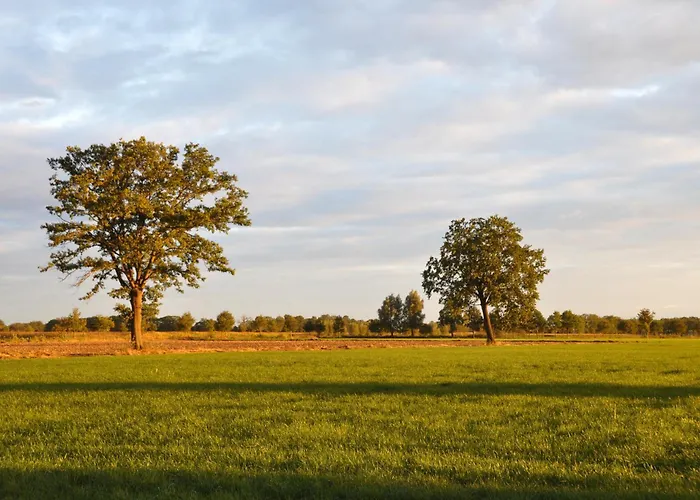 Holiday home Uilenblik *
